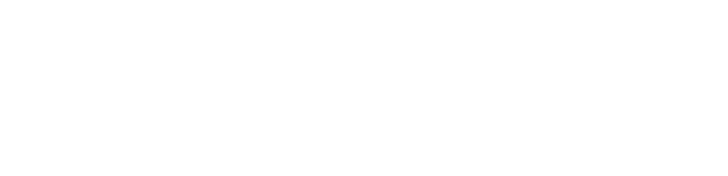 suberise logo white